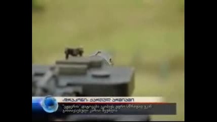 gruzia shte kupi turski broniran tank ejder mesto Btp - 80