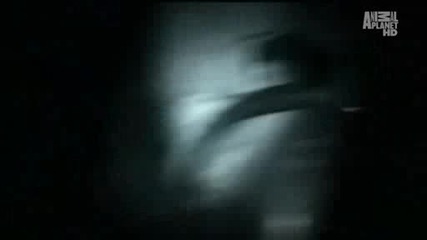 The Haunted Сезон 2 Епизод 7