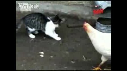 Кокошка Спасява Мишка
