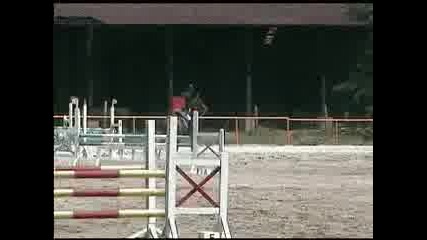 Веселин Петров И Васарели