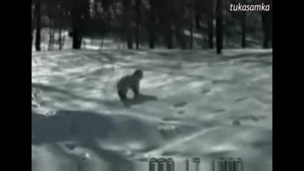 Смешни Животни - Смях