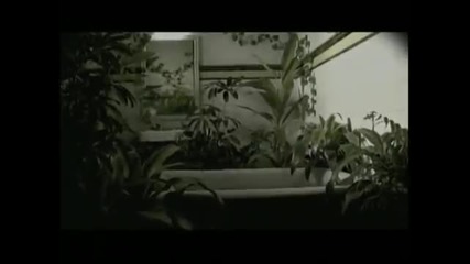 Lu - La vida despues de ti