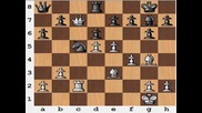 Capablanca (the Chess Machine) vs. Colle 
