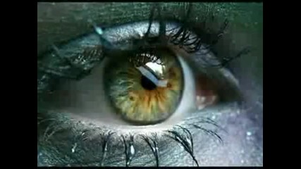 ofra haza you