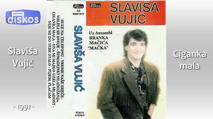 Slavisa Vujic - Ciganka mala - (audio 1991)