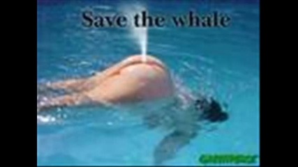 2011 funny stuff Hq