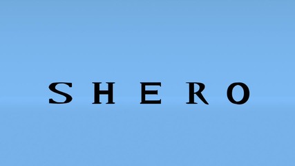 Shero Animation Studio Pixar Style