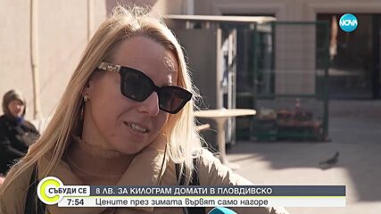 8 лв. за килограм домати в Пловдивско: Цените през зимата вървят само нагоре