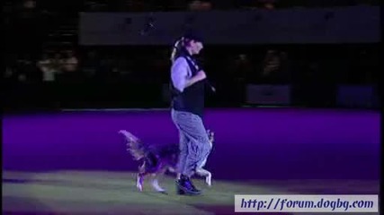 Танц с кучета 
