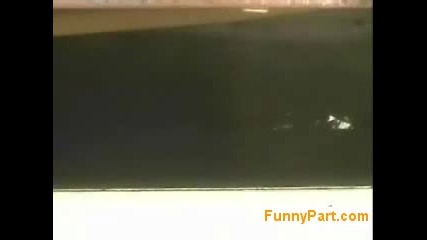 Дете Кара Ролери Под Коли
