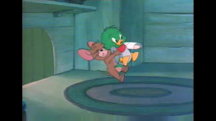 Tom And Jerry