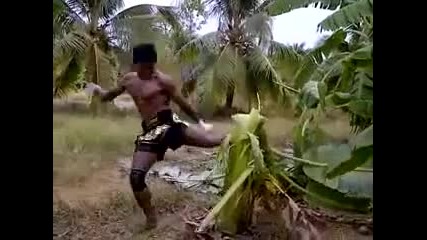 Buakaw Por. Pramuk Троши Дърво с Крак