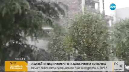 В Токио заваля сняг за първи път от 54 години насам