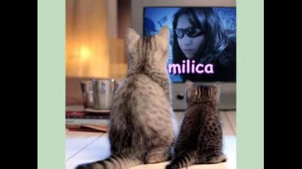 milica 