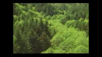 Achillea 2 (jens Gad) - Las Alas Del Aguila (dodesevideo)