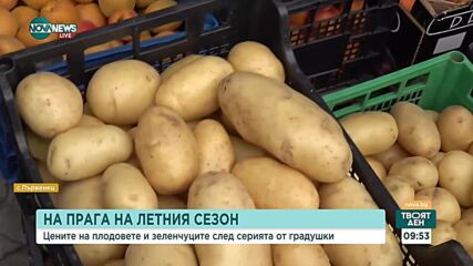 Ще ядем ли това лято по-евтини домати и краставици