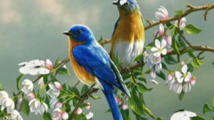 I Love Spring