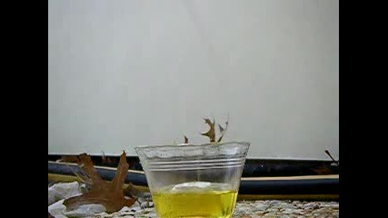 Яка Химична Реакция