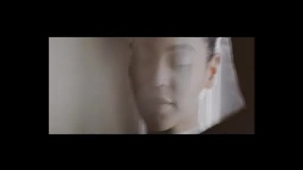 Beyonce-halo - 2008
