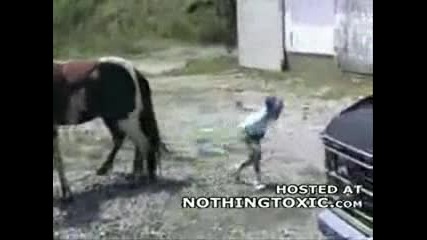 Кон рита дете.. 