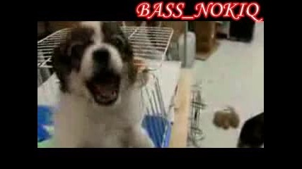 Куче издава страни звуци 