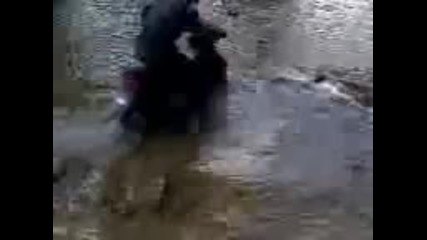 Тест по вода Honda Dio