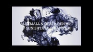 Alexmall & Gem ft Denyo - V Sunishtata Si Rapiram