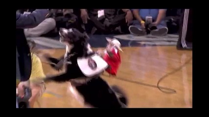Nba Playoffs 2011 First Round Game 6: San Antonio Spurs @ Memphis Grizzlies 91 - 99