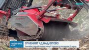 Започна залесяването на обгорените площи в Родопите