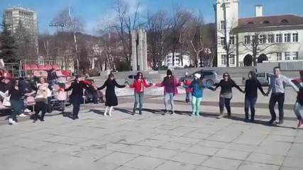 Vid_20170303_141818