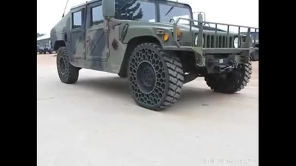Нов вид гъми
