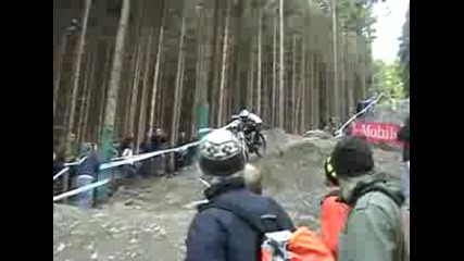 Downhill world cup 