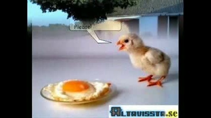 !!! ТОВА Е НАШИЯ СВЯТ !!!