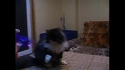 coco - chanel2 