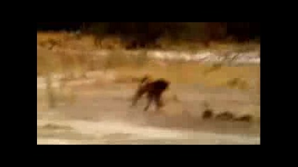 Top Gear - Африка Част 6 От 8