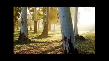 Ishtar Alabina - Horchat Hai Caliptus ((the eucaliptus forest)