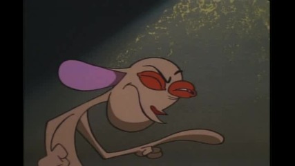 Ren and Stimpy - 5x04a Stimpys Pet [dvdrip]