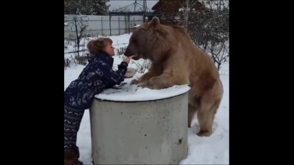 Може ли огромен мечок да бъде приятел с нежно момиче???