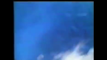 W.a.s.p. --- Forever Free
