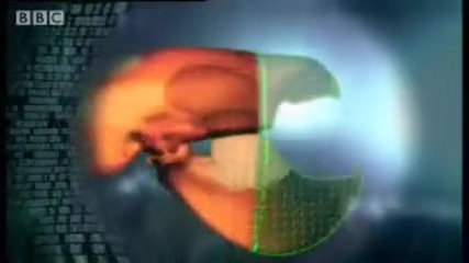 Pistol Shrimp sonic weapon - Weird Nature - Bbc wildlife 