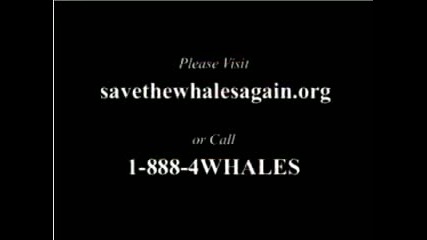 Whales need help Hayden Panettiere Vbox7