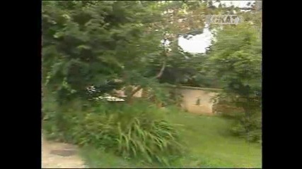 Живи разкази за Хайтов - 2 част