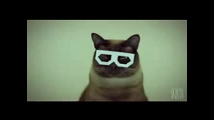Dubstep Hipster Cat (full Video)