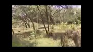 ненормалник коли полицаи 