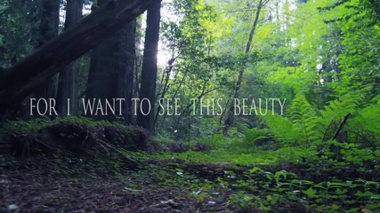 Alunah - Awakening The Forest Official Lyric Video
