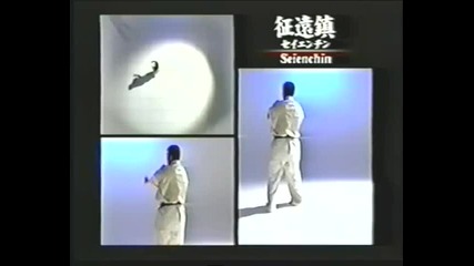 seienchin 