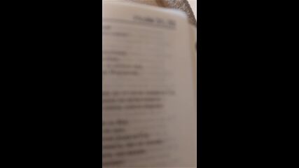 Vid_20230401_133500.mp4