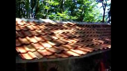 Кръстова гора 8