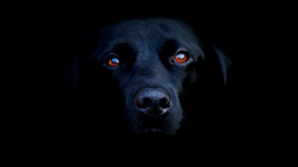 Burning Eyes