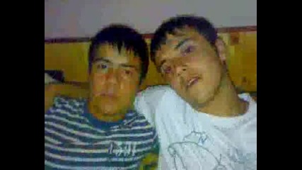 The Best Friends